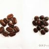 コーヒーの種類　～アラビカ種・ロブスタ種の特徴と違い。エスプレッソのブレンド。～